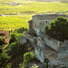 The Torres Experience: Wineries and Sitges (Small tour groups)