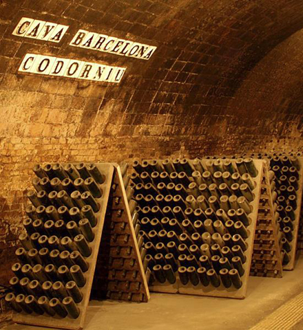 Cavas Codorniu (Winery)