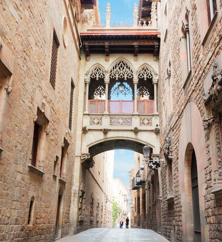 Private Tour - Barcelona: Guide and Public Transport