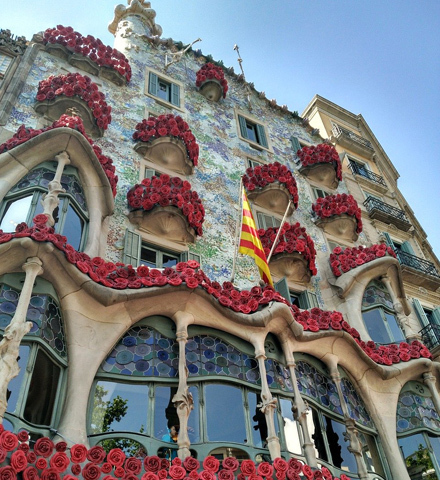 Tour Privado Gaudí: Sagrada Familia & Park Güell