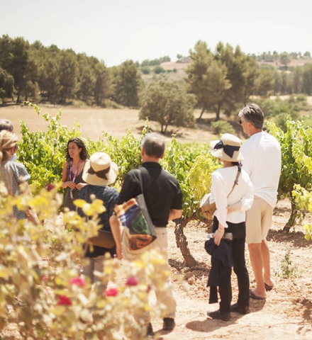 Montserrat, Tapas & Wine  (morning tour)