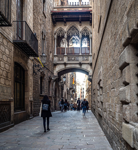 Barcellona, Tour privato adattato (per persone con mobilità ridotta)