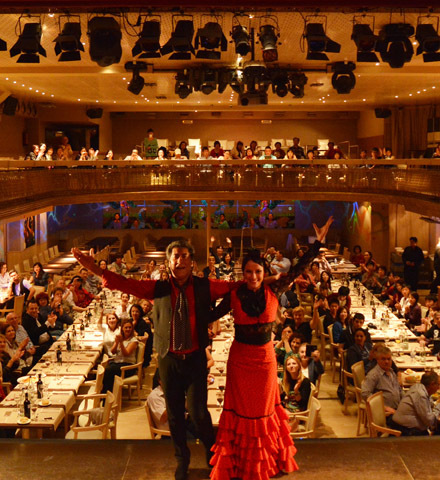 El Palacio del Flamenco