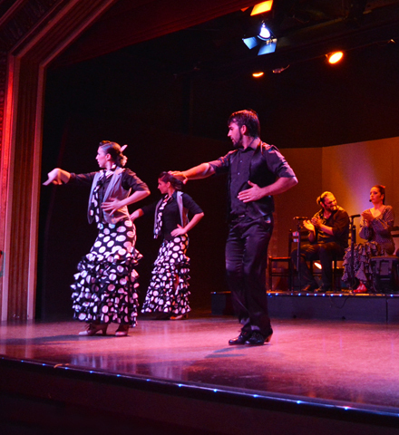 El Palacio del Flamenco