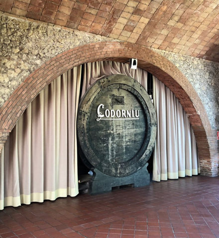 cavas codorniu tour