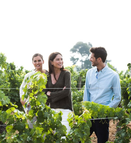 Visita esclusiva presso le cantine Torres