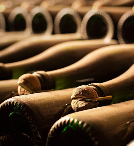 Extended Exclusive Tour of a Traditional Cava Winery