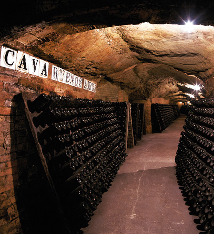 Tour Montserrat e cantine Codorníu