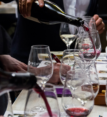 Cata Privada de vinos con un experto en Barcelona