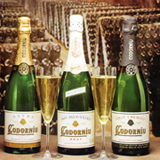 Cava Codorniu