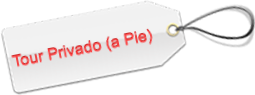 Barcelona Tour Privado (a Pie) Barcelona Tour Privado (a Pie)