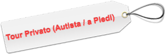 Barcellona Tour Privato (Autista / a Piedi)
